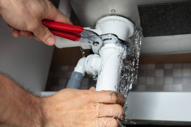 Best Water damage restoration specialists  in Kotzebue, AK
