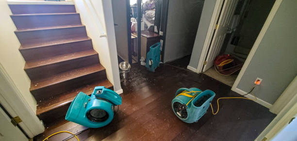  Kotzebue, AK Water damage restoration Pros