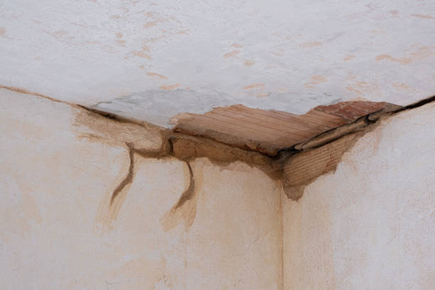 Best 24-hour water damage restoration  in Kotzebue, AK