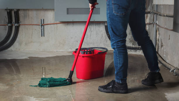 Best Water damage cleanup near me  in Kotzebue, AK