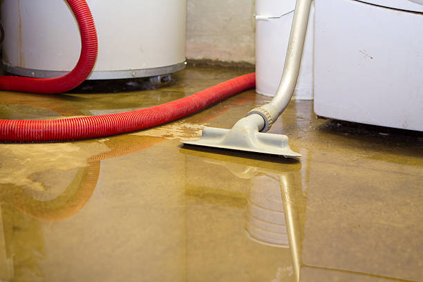 Best Water damage restoration process  in Kotzebue, AK