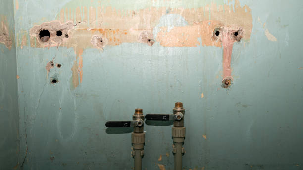 Best Water damage contractors near me  in Kotzebue, AK