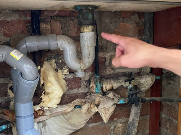 Best Water damage restoration near me  in Kotzebue, AK