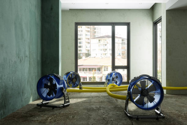 Best Flood restoration services  in Kotzebue, AK